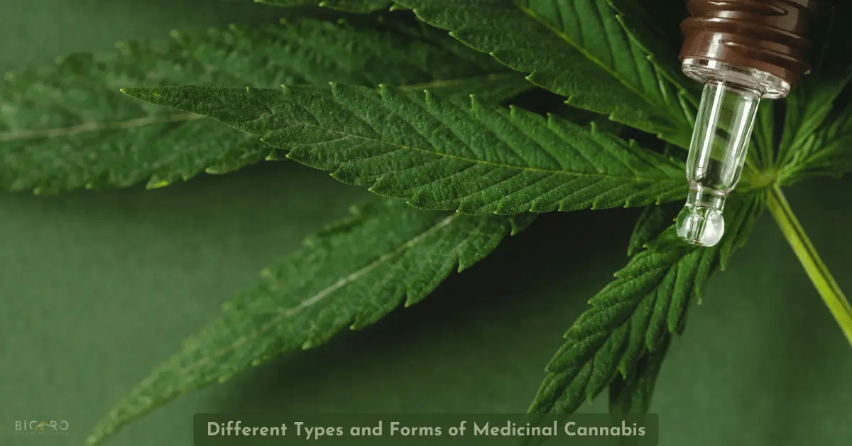 Different Types and Forms of Medicinal Cannabis