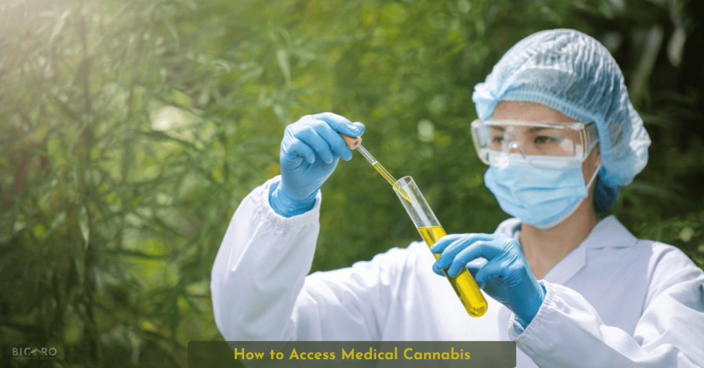 How to Access Medical Cannabis