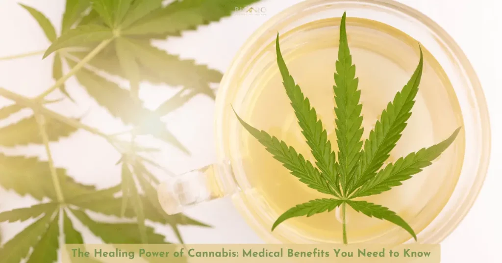 The Healing Power of Cannabis: Medical Benefits You Need to Know