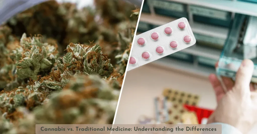 Cannabis vs. Traditional Medicine: Understanding the Differences