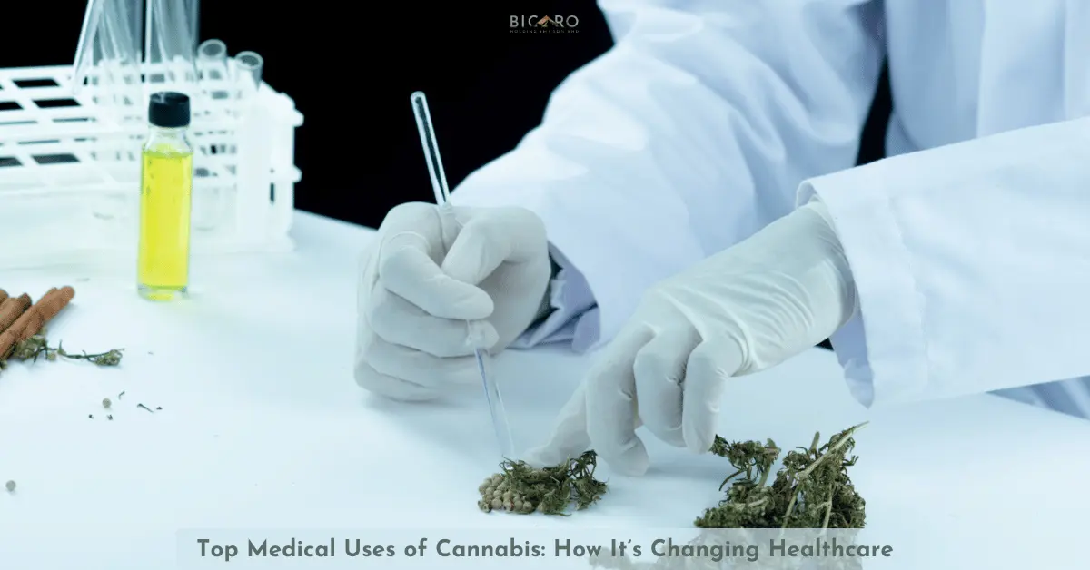 Top Medical Uses of Cannabis: How It’s Changing Healthcare