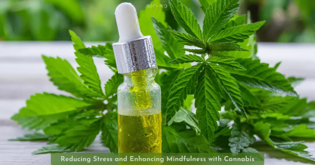 Reducing Stress and Enhancing Mindfulness with Cannabis