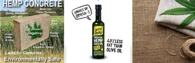 Hemp 8 gdfg Bicaro Holding