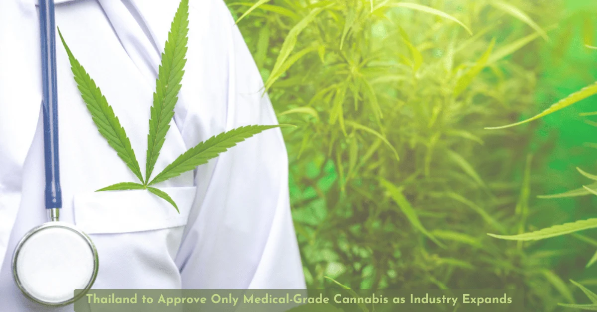 Thailand to Approve Only Medical-Grade Cannabis as Industry Expands